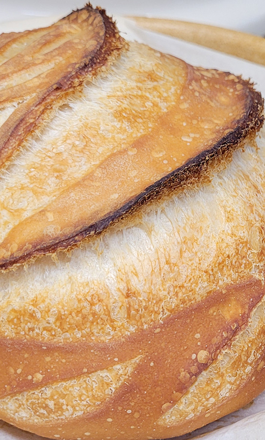 close up photo of a boule of white bread with decorative slices through the crust
